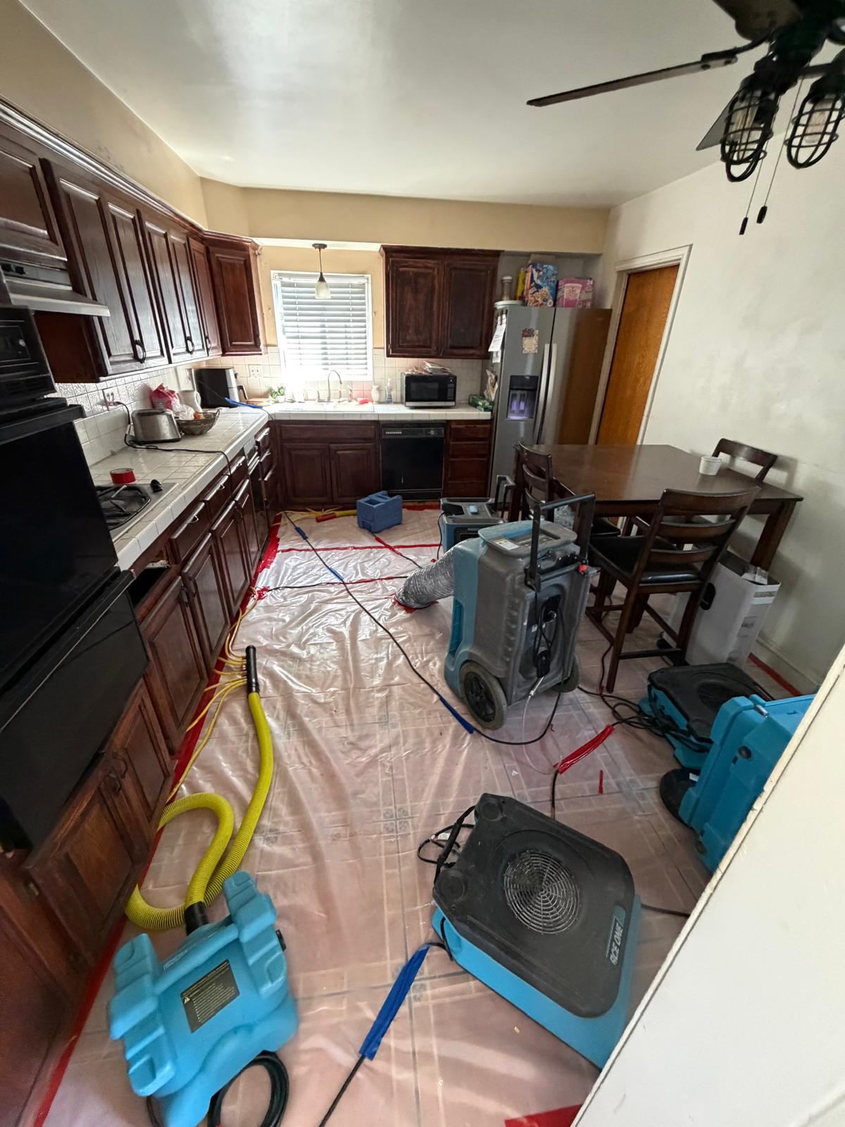Smoke & Odor Removal