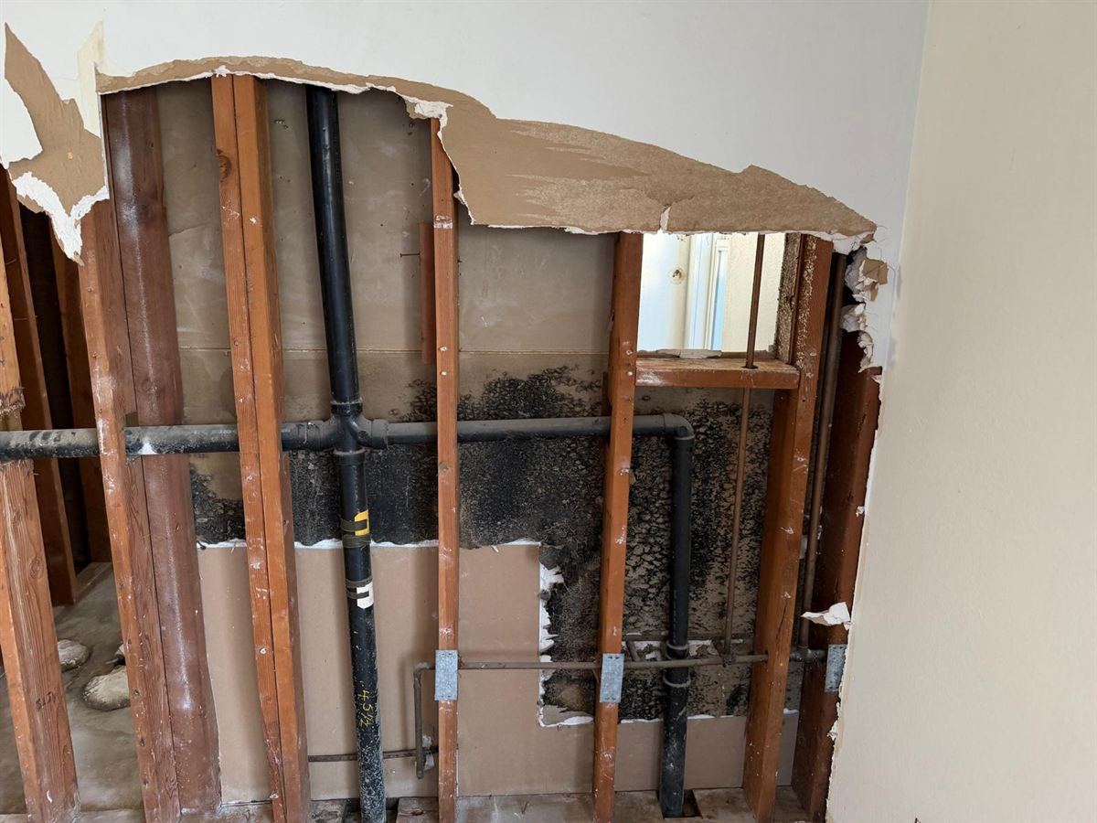 Before Mold Remediation