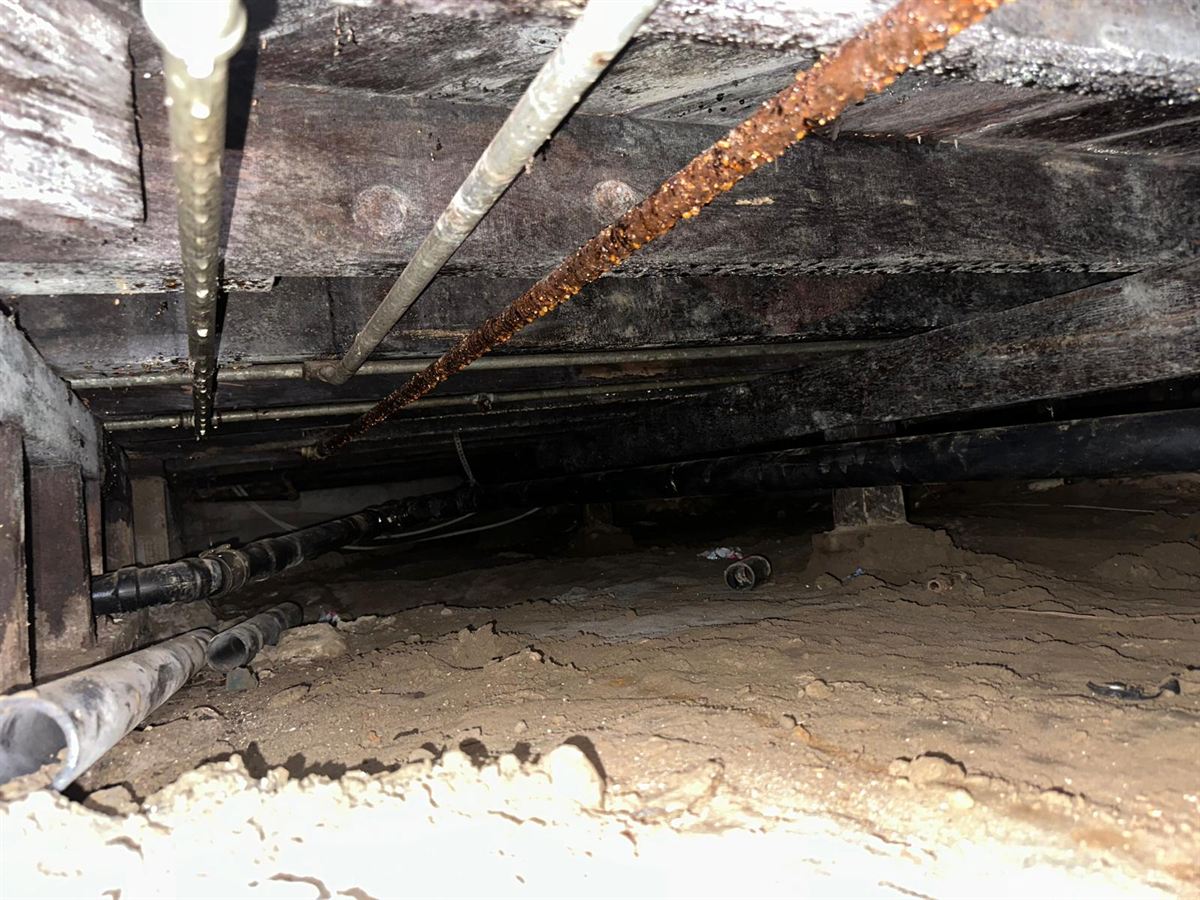 Crawlspace Mold