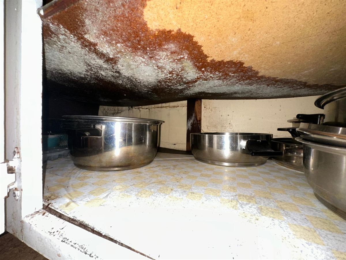 Mold Remediation