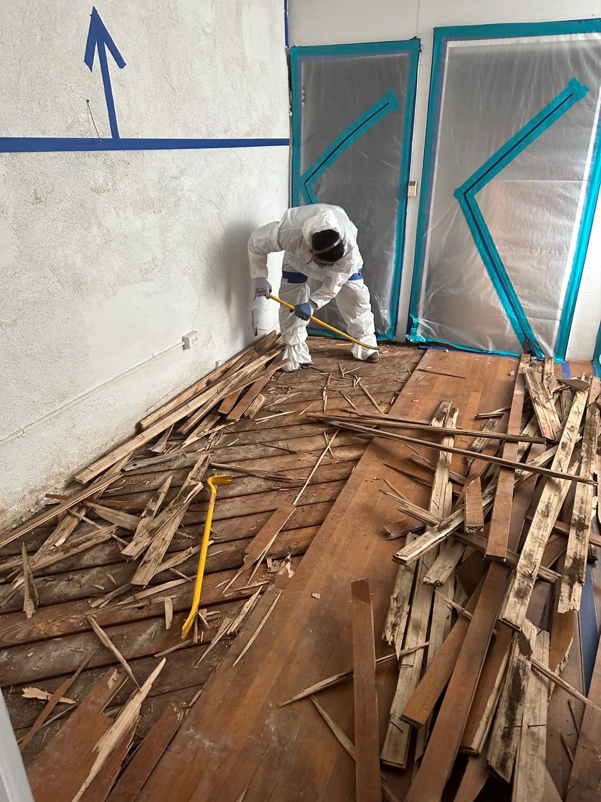 Professional Mold Remediation