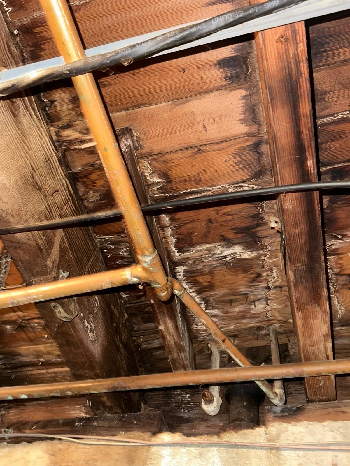 Water Damage Leading to Mold